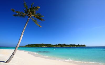 Big Beautiful Beach