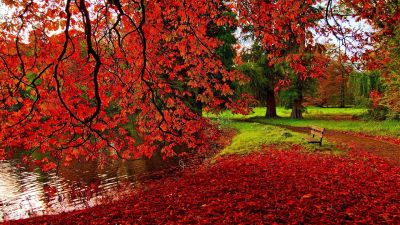 Best Autumn